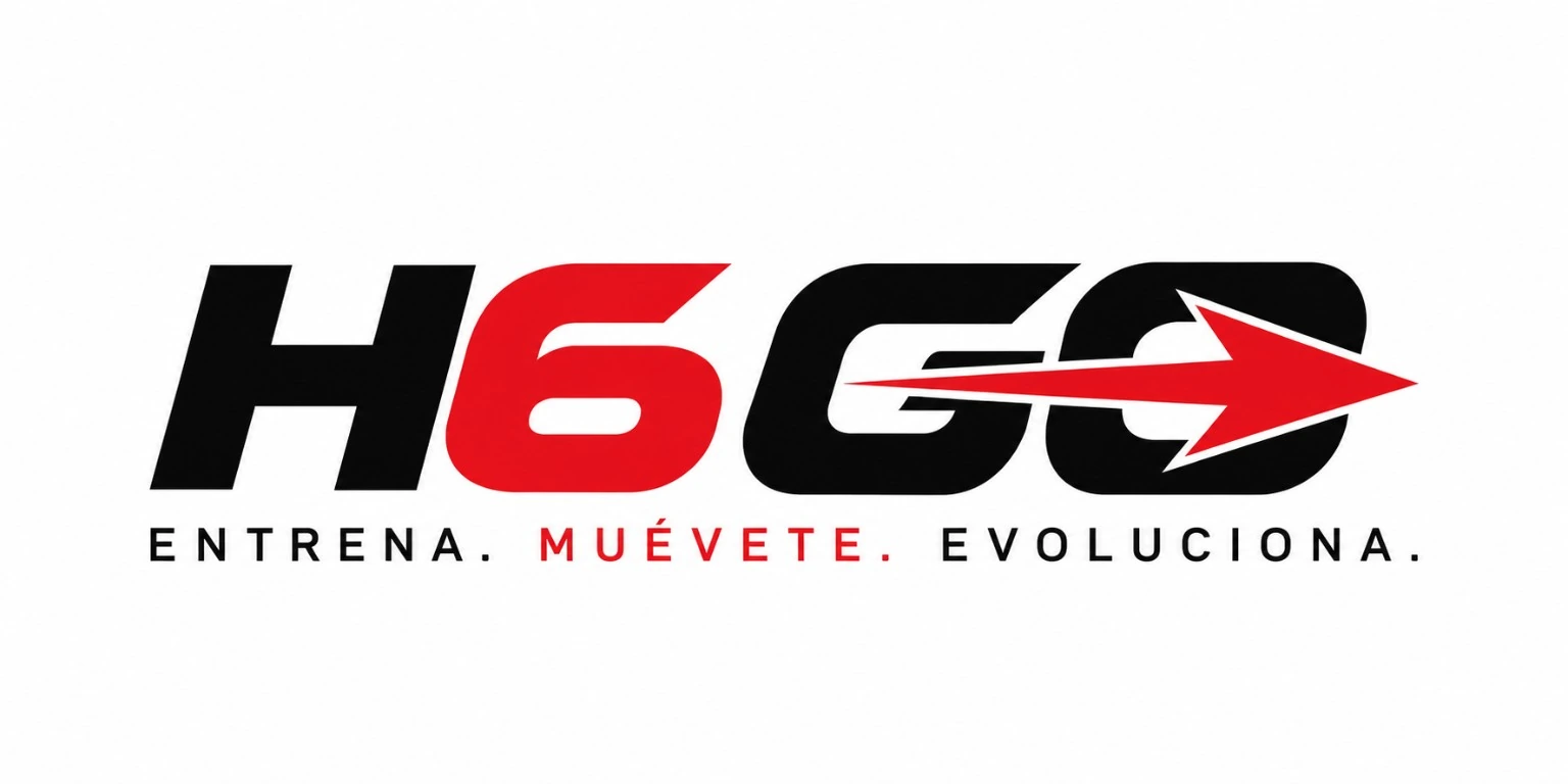 H6 Go